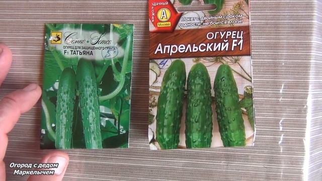 Когда сажать ранние огурцы. Какие сорта выбрать и как правильно посадить.