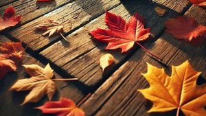 Моя история - Лучи мудрости, бабушка как источник света и тепла...