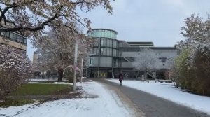 Геттинген, Германия в снегу, пешая экскурсия и прогулка по Рождественской ярмарке