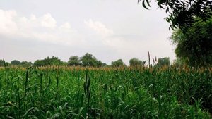 3171469-uhd_3840_2160_30fps