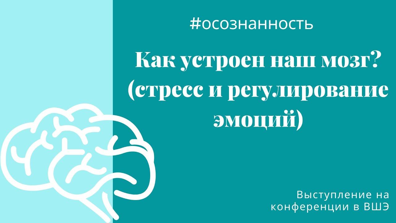 Про работу мозга и осознанность (mindfulness)