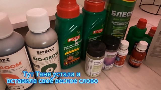 Полюбопытствуем! Чем кормит Наташа своих зелЁных?