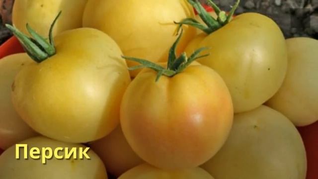 120 сортов овощей.