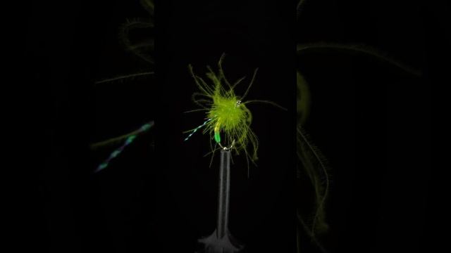 SWAP "Soft hackle fly" - 25.11.2022 - 15.12.2022