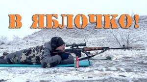 Сиськи!