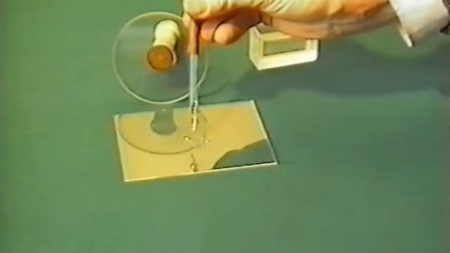 Физика 085 Капиллярные силы смотреть онлайн