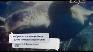 Вспомнить всё 035   Клуб кинопутешественников   концертный зал Россия