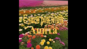 С днём рождения Анита
