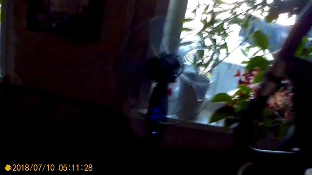 Просто жизнь 10 07 18 ч1 смотреть онлайн