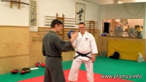 Лапы для одиночных ударов - Дмитрий Медведев.