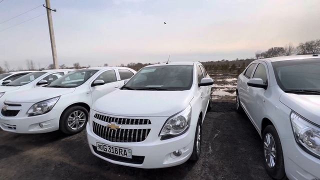 ZOR NARXDA COBALT SOTILADI.☎️:99-505-60-70 95-090-60-70 смотреть онлайн