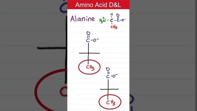 Amino Acids D & L Configuration