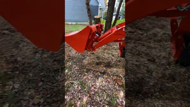 Shiny New 2021 Kubota BX23s in the wild!