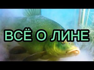 Линь.Всё о рыбе