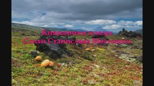 Княженики плоды