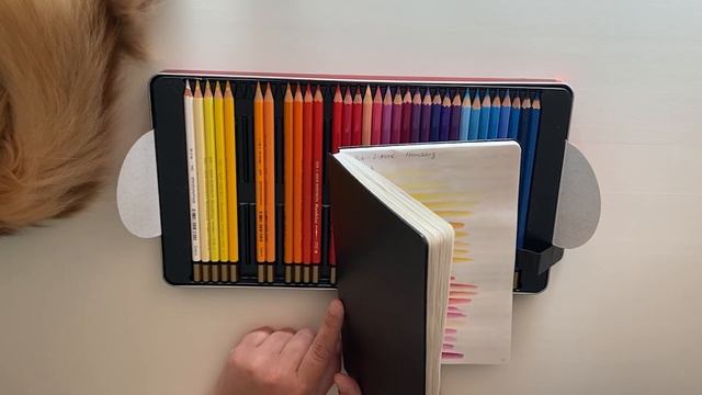 Хомячьи запасы 01.08.2024 смотреть онлайн