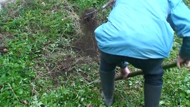 (sarmatas.lt) Saulius Jasionis. Praktinis gamtinės žemdirbystė seminaras (2011.05.08) смотреть онлайн