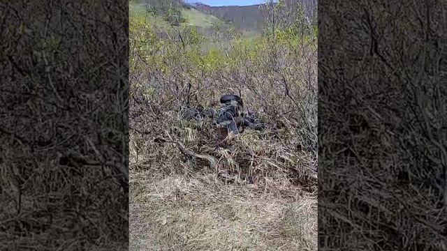Опасные отходы в воде на природе.Камчатка.Экология.Шины.Большая лагерная.Экосистема.Заповедный край