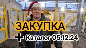 ЧИЖИК🐥ШАРОМ ПОКАТИ😱ВСЕ СМЕЛИ😻ЗАКУПКА НЕ ПО СПИСКУ + НОВЫЙ КАТАЛОГ С 05.12.24