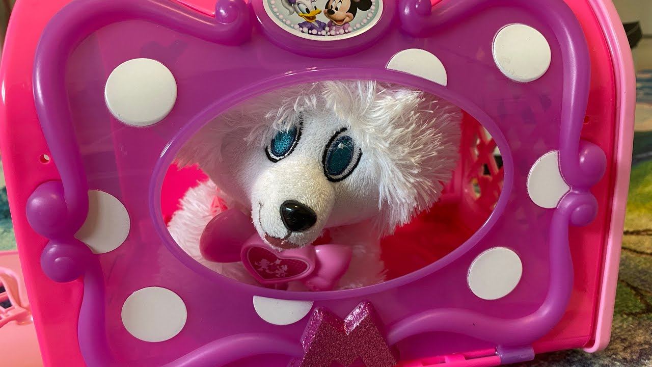 Little pet toys for kids | white dog toys for kids | zebra tv | movie for kids | Disney toys смотреть онлайн