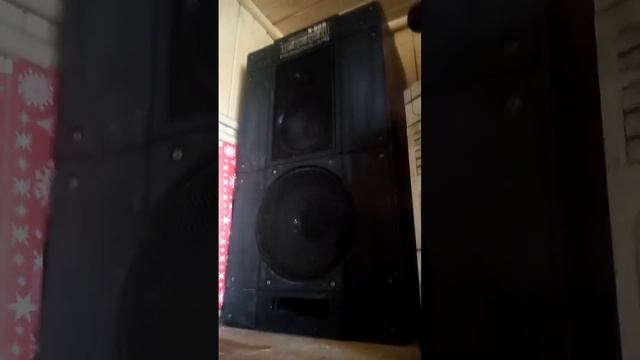 чисто папа#музыка