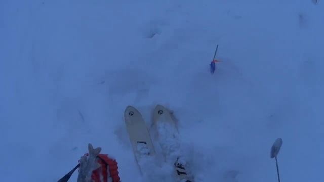 Оставил жерлицы на всю ночь, эксперимент на рыбалке... смотреть онлайн