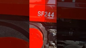 Shifeng 244