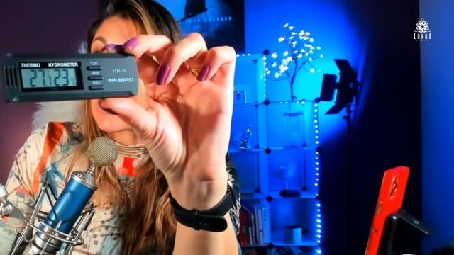 INKBIRD ITH-10 Digital Thermometer and Hygrometer Temperature Humidity Monitor Review смотреть онлайн