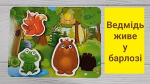 🐸 Хто де живе? 🙉 ДЕ ЖИВУТЬ ТВАРИНИ? 🐇🏠  Домівки тварин. Розвиваючі мультики українською для дітей