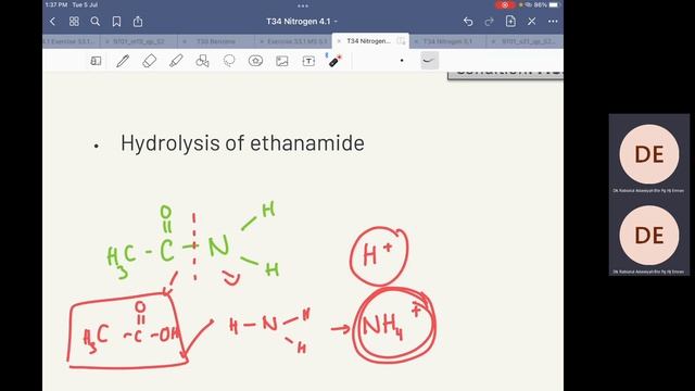 Tuesday 5th July 2022 - T34 Reaction of Amides & Hydrolysis of Amides смотреть онлайн