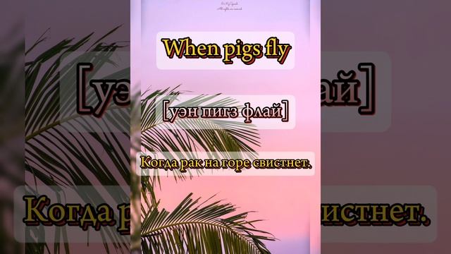 Time flies - Время летит; When pigs fly - Когда рак на горе свистнет