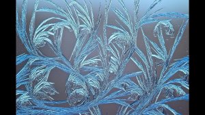 Флористика. Футаж ветки