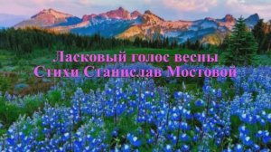 Ласковый голос весны