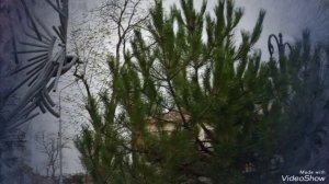 Мариуполь ⛵🏢 строительство ремонт многоэтажек