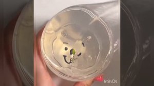 СЛАЙМ С ИСТОРИЯМИ 🤣НОВЫЙ 💞УЛЕЁТНЫЙ💖 СЛАЙМ💝 С СМЕШНЫМИ ИСТОРИЯМИ ИЗ ТИК-ТОК 😂
