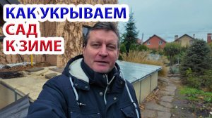 Укрытие растений на зиму магнолии, хвойные