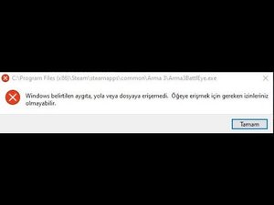 Arma 3 BattlEye.exe  2020 Erişim sorunu
