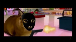 шлёпа ограбление пятёрочки