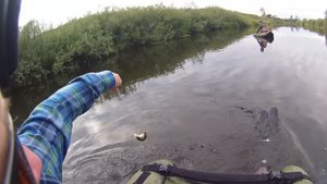 тенкара & голавль