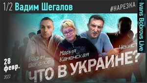 28.02.22 (1из2) Что в Украине? Вадим #Шегалов - Выступление на стриме Ivan Bobrovs