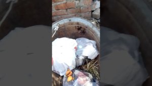 Вызываем Соника .ехе! ОН ПРИШЁЛ!!!!!!!