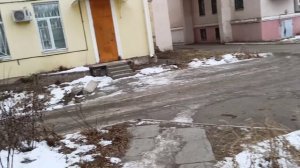 Побывали в гостях, всех проведали.