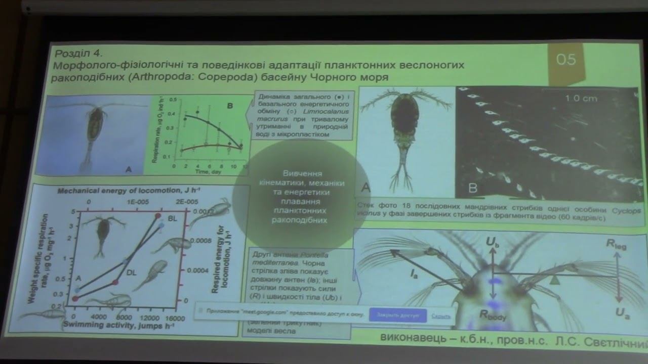 Звіт Відділу фауни та систематики безхребетних 2023 р Інституту зоології НАНУ Проф. В.В.Аністратенк