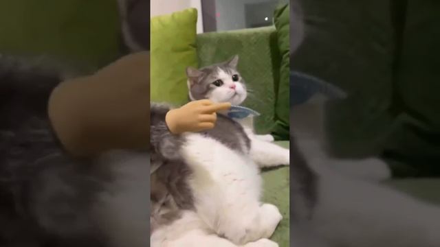 Поддержи подпиской 🙏 и поставь лайк смотреть онлайн