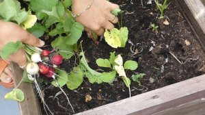 9429136-hd_1920_1080_25fps