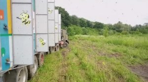 сезон 2024 штрихи часть 2