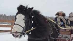 3191807-uhd_3840_2160_25fps