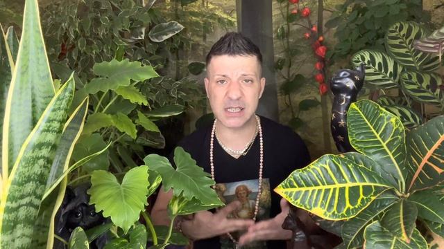 LIBRA September 2022 ⭐️ LIBRA! YOU WILL HAVE A BIG REASON TO CELEBRATE - Horoscope Tarot смотреть онлайн