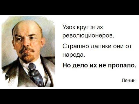 Тасси оборванного мишку утешала. Больше всего меня пугают ровесники почему они такие старые картинки. Страшно далеки они от народа цитата. Страшно далеки они от народа. Они такие же только страшные.