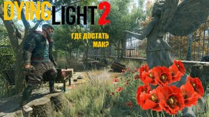 Dying Light 2 Reloaded Edition. Как получить много мака для усилителей? Секреты Даинг Лайт 2.